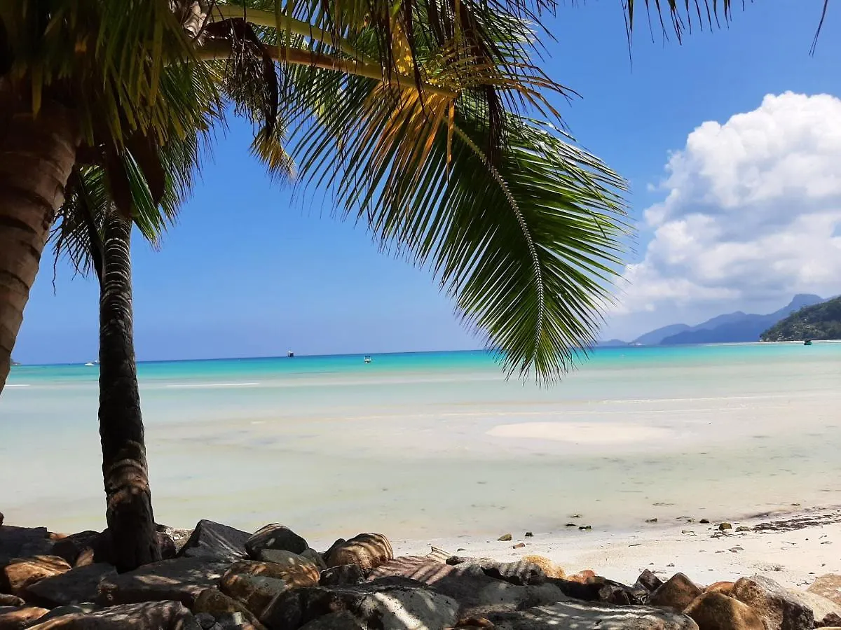 A Peace In Paradise Anse Royale