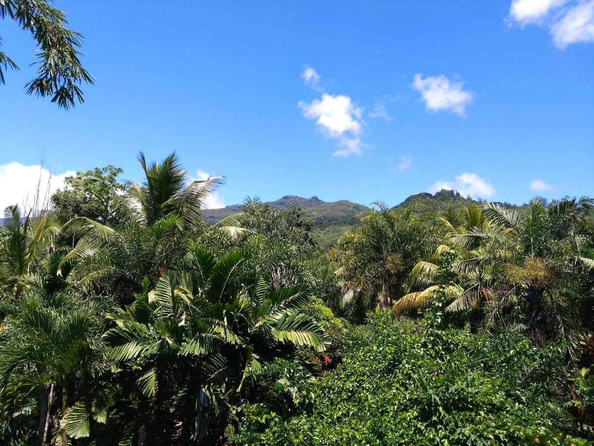 Chalet A Peace In Paradise Anse Royale Seychelles