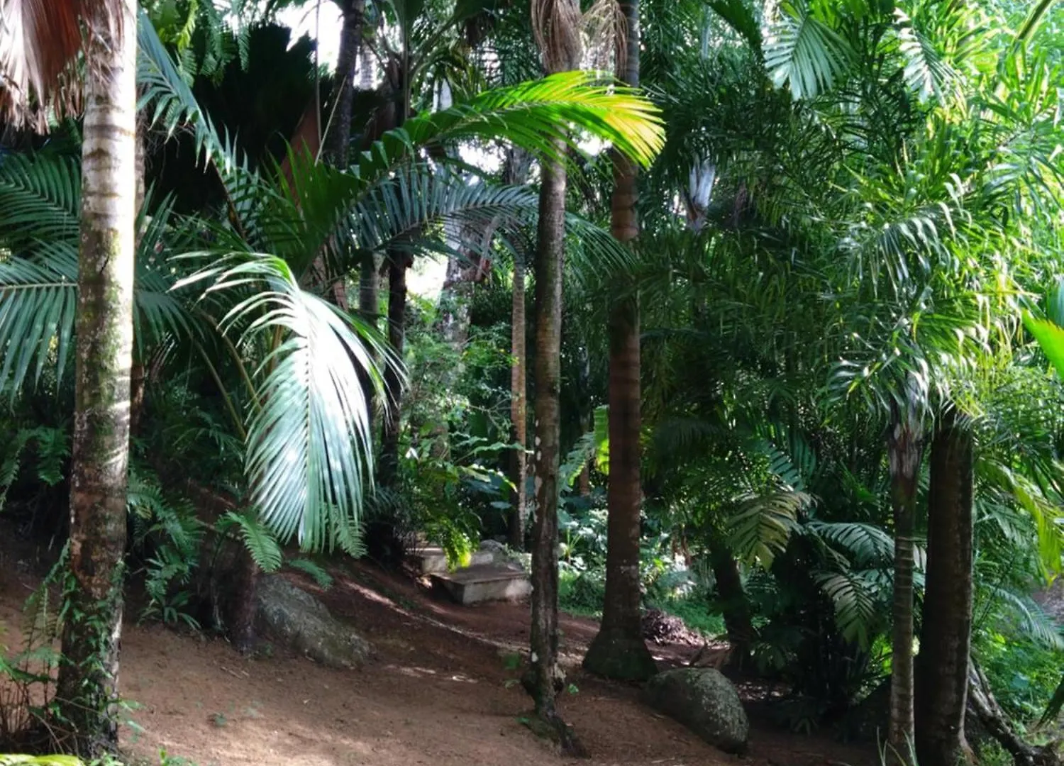 A Peace In Paradise Anse Royale