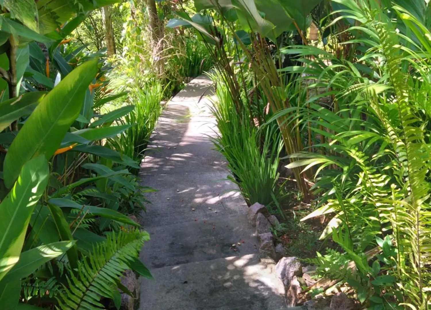 A Peace In Paradise Anse Royale 0*,