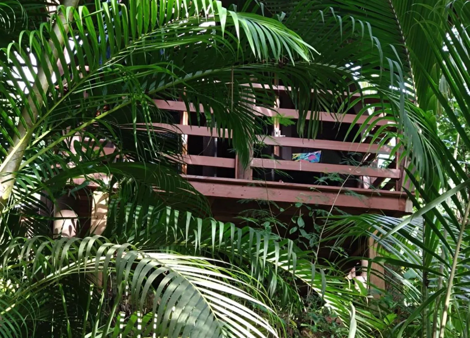 A Peace In Paradise Anse Royale