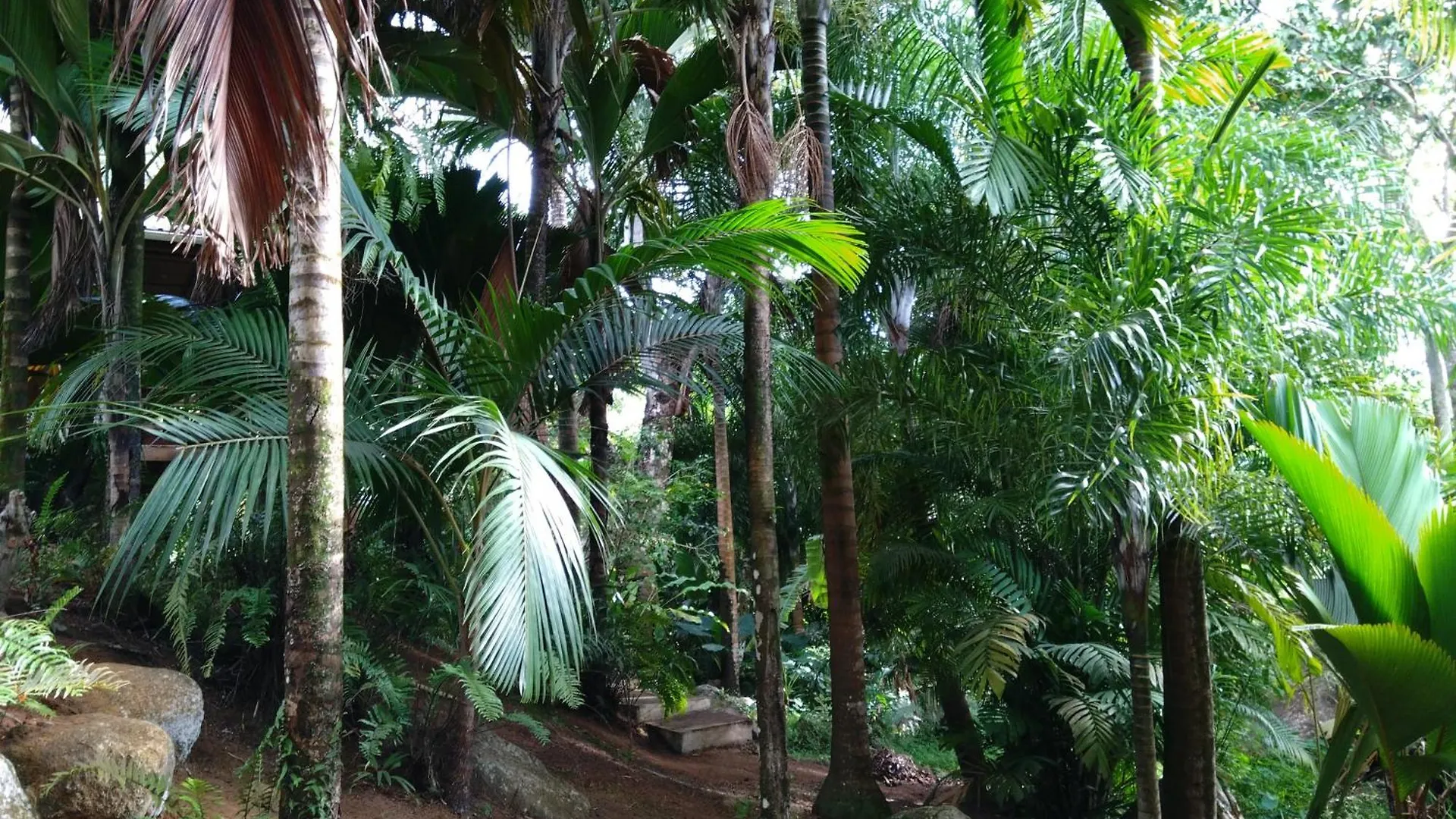 Chalet A Peace In Paradise Anse Royale