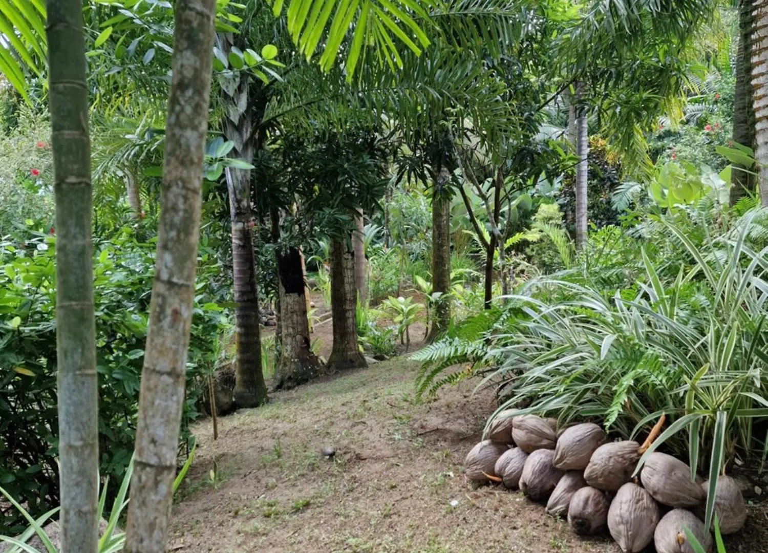 A Peace In Paradise Anse Royale Seychelles