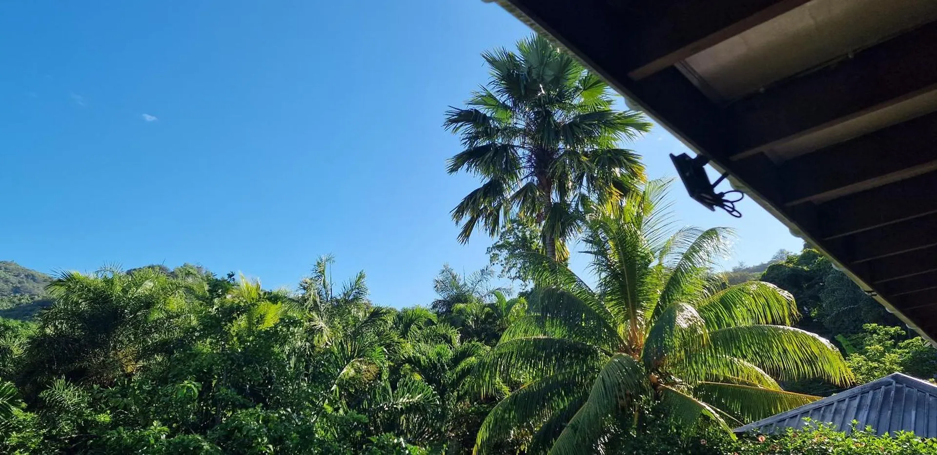 A Peace In Paradise Anse Royale