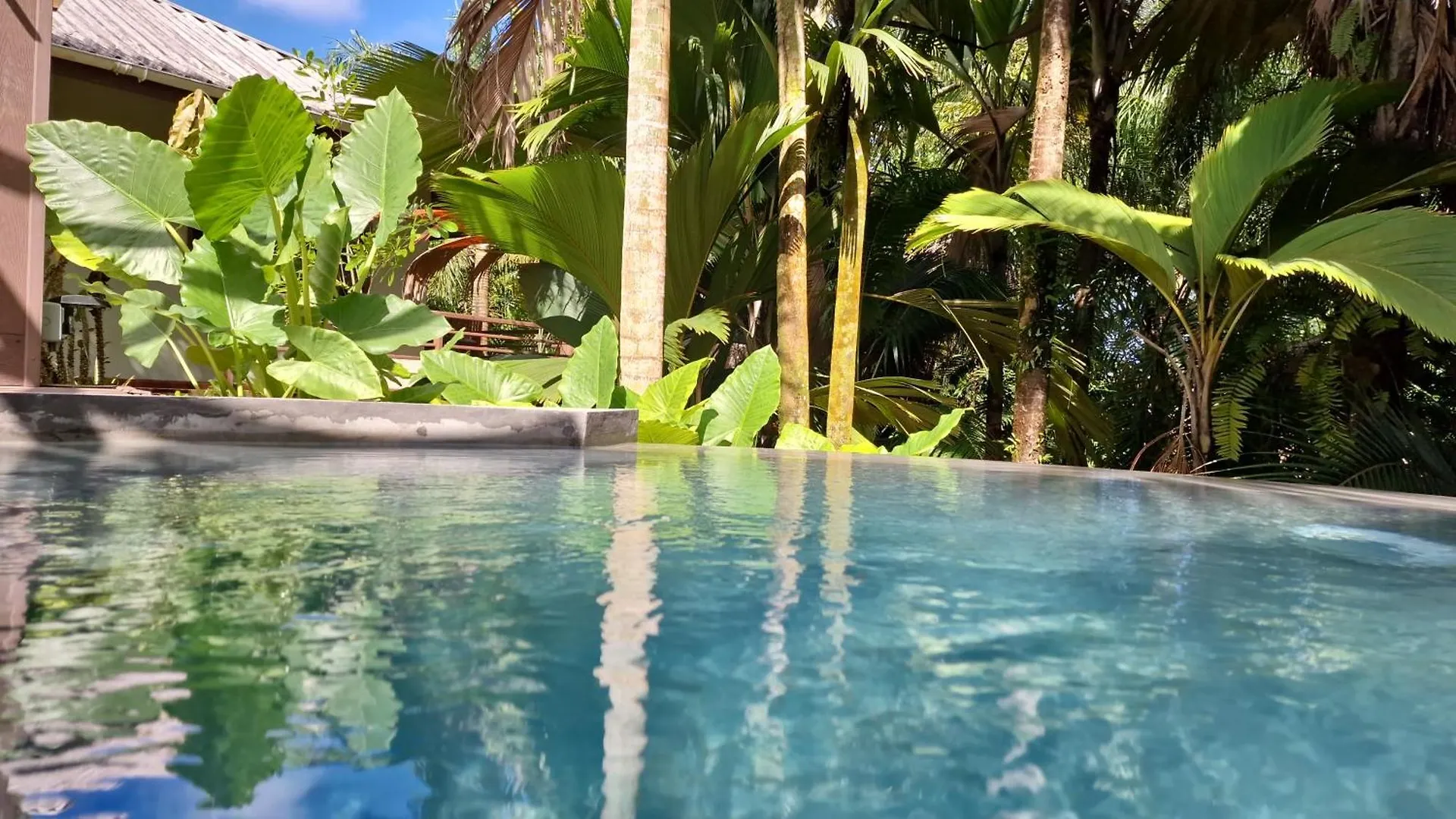 A Peace In Paradise Anse Royale Seychelles