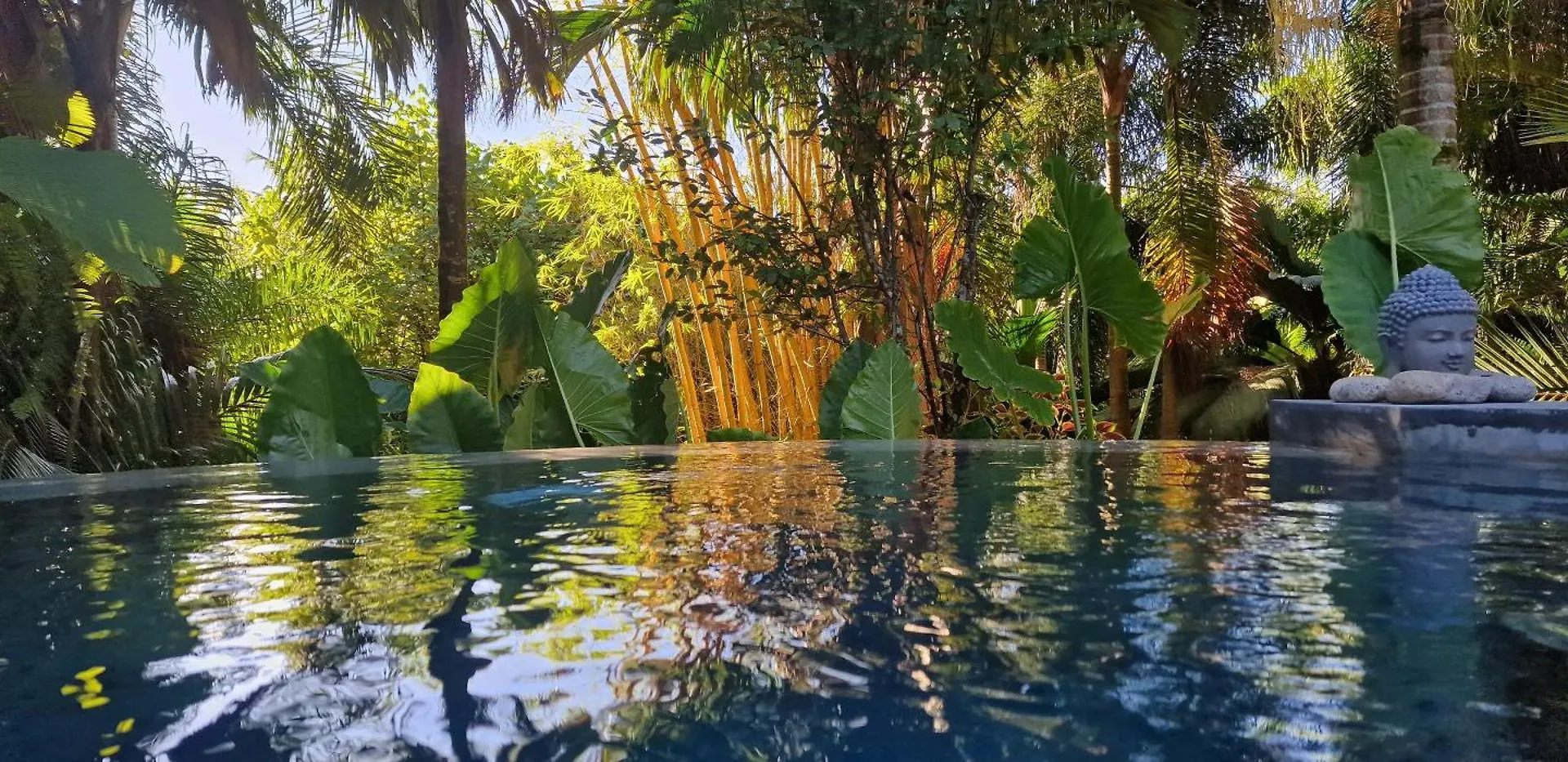 A Peace In Paradise Anse Royale Seychelles